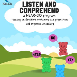 Auditory Comprehension: A Focus on Directions and Comprehension